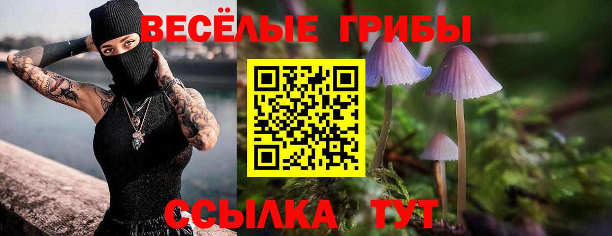 Псилоцибиновые грибы MAGIC MUSHROOMS  Вход с VPN  Избербаш 